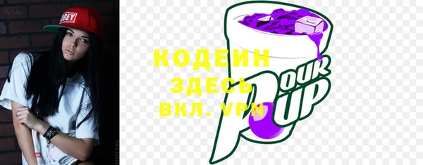 PSILOCYBIN Алзамай