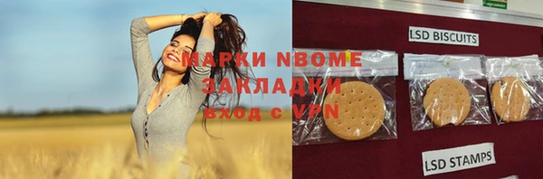 PSILOCYBIN Алзамай
