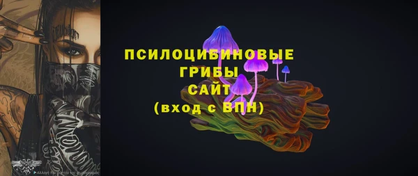 крисы Покровск