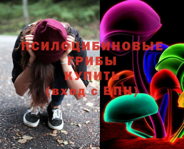 PSILOCYBIN Алзамай