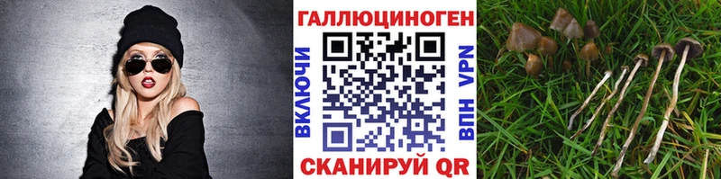 Галлюциногенные грибы ЛСД  Коряжма 
